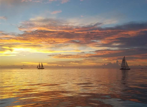 Sailboats During the Sunset Sailboats During the Sunset