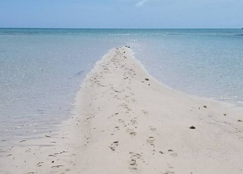 Footprints in the Sand Footprints in the Sand